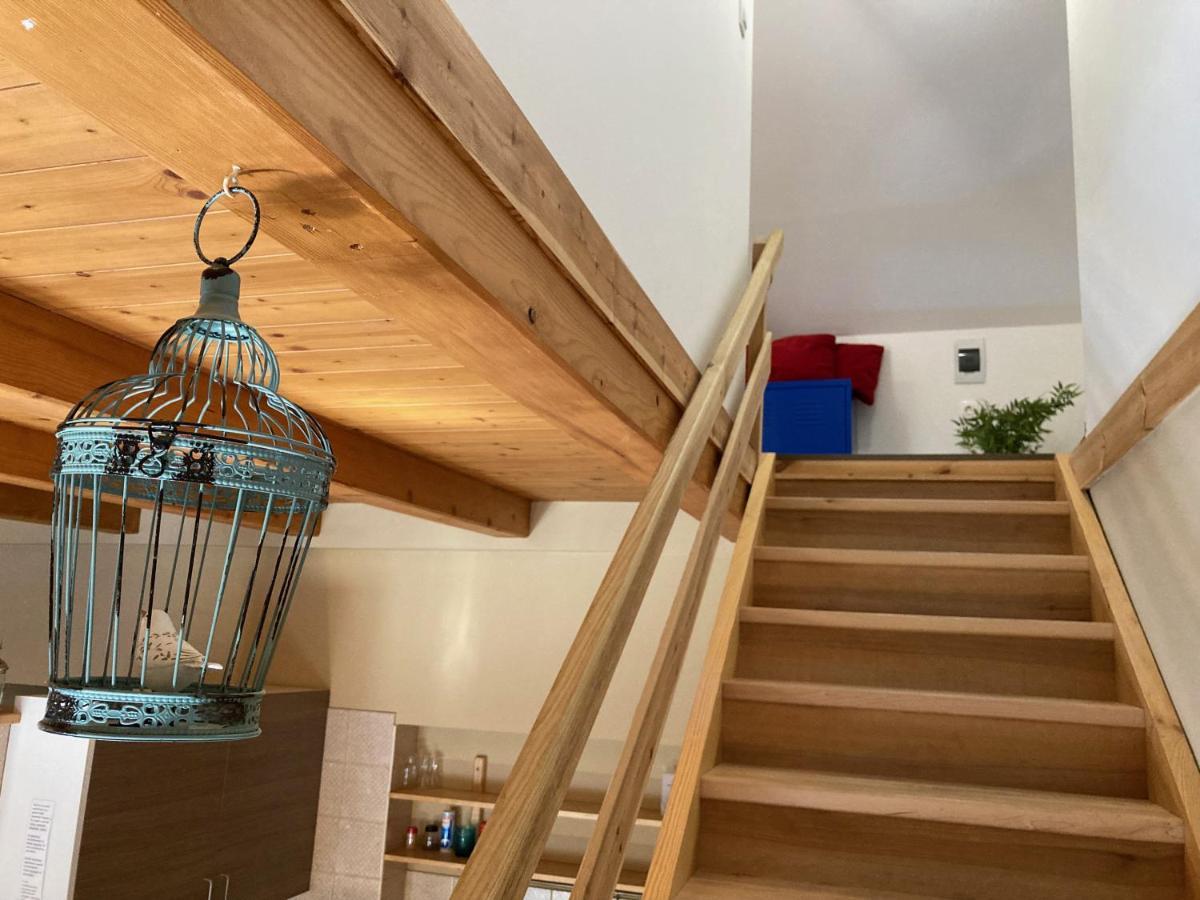 Apartament 35 Vendeghaz Pécs Zewnętrze zdjęcie